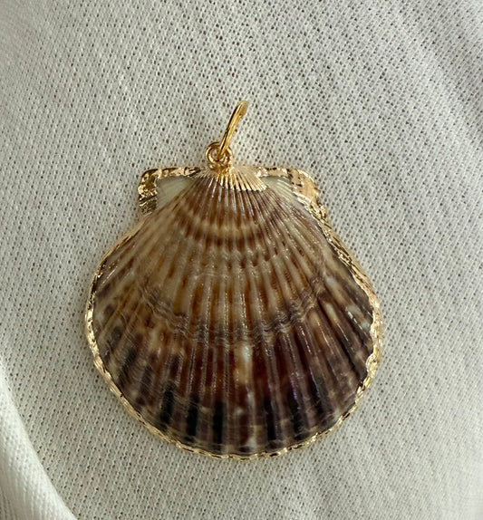 Shades of Brown Shell Pendant